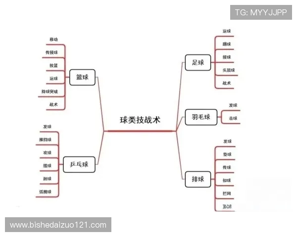 杭州篮球队速度对比深度解析及战术影响探讨
